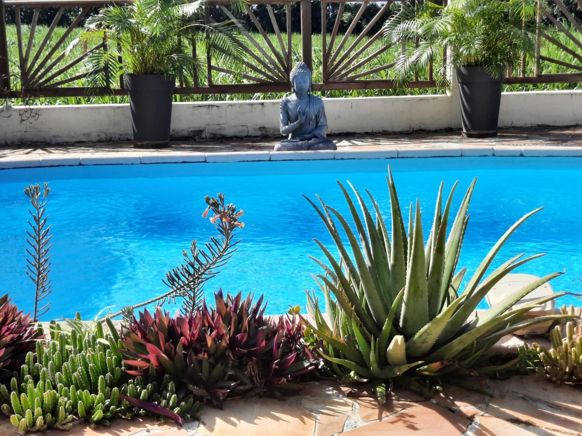 Joli Appartement, Piscine, Jacuzzi Sainte-Suzanne 外观 照片